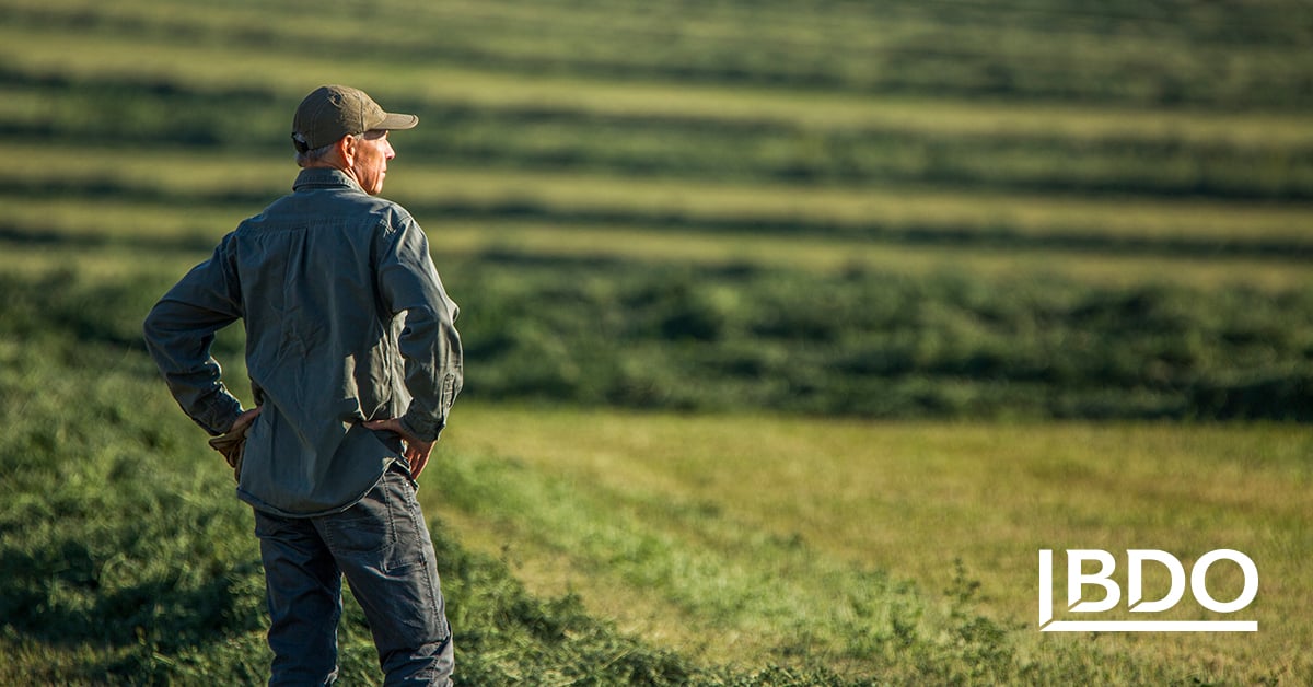 decision-agriculture-can-i-buy-land-bdo-canada